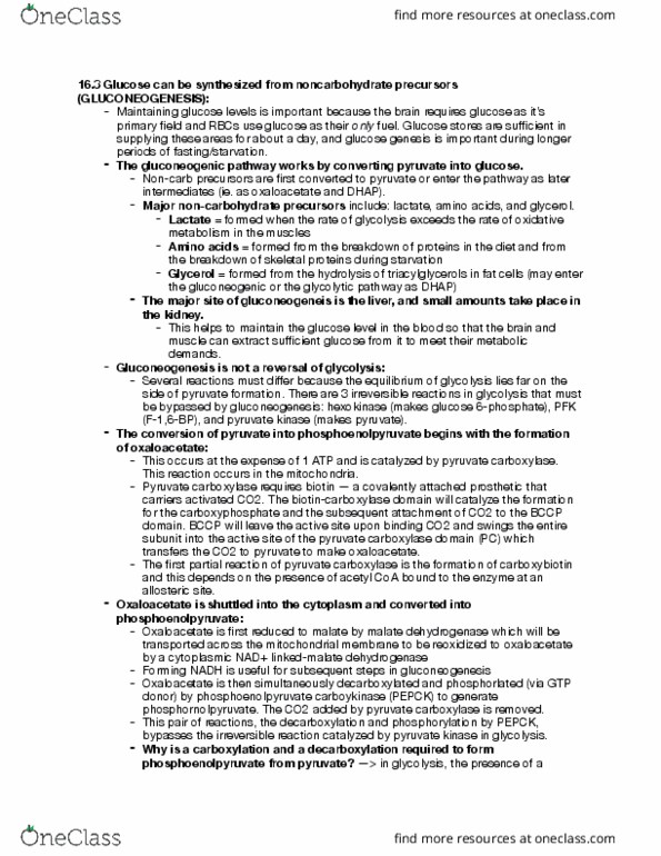 BIOC 300B Chapter Notes - Chapter 16.3 and 16.4: Phosphoenolpyruvate Carboxylase, Pyruvate Carboxylase, Malate Dehydrogenase thumbnail